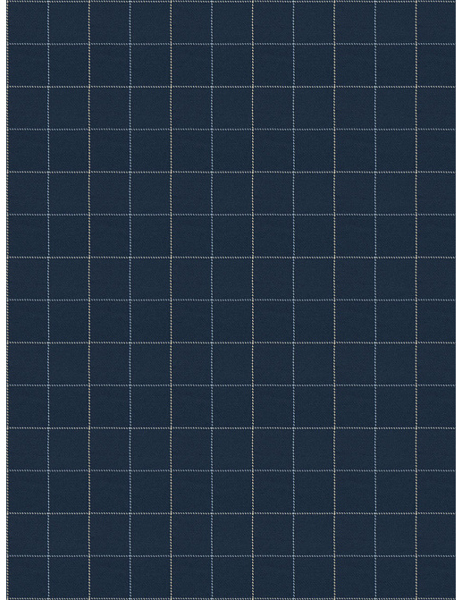 Ткань Fabricut Chromatics Vol.XXVI Azure BrennandCheck/Navy