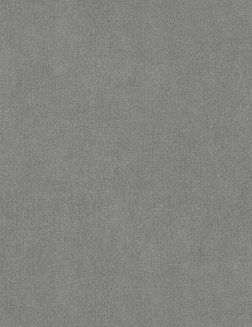 Обои Rasch B.B. Home passion V 479362