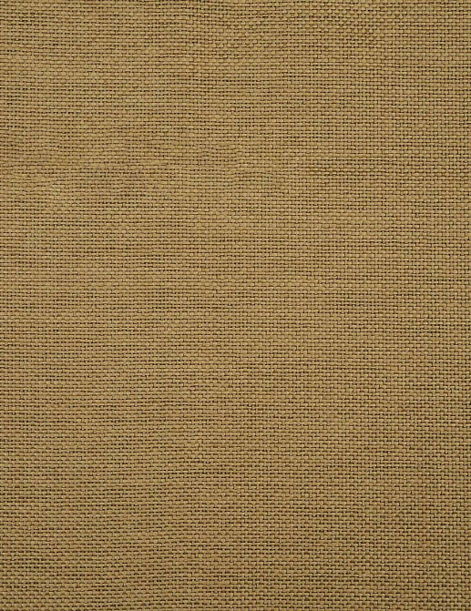 Ткань Jim Thompson Raffia Weaves JT013920003