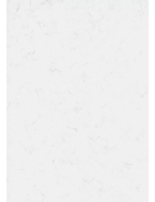 Обои BN International Glassy BN 218300