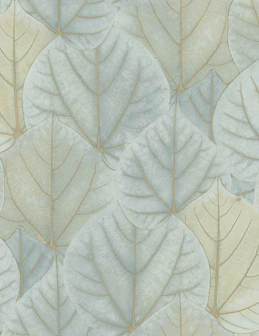 Обои York Modern Nature II (Candice Olson) OS4241