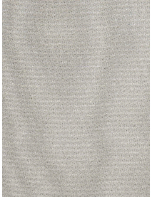 Ткань Trend Drapery dim out library 02887/Silver
