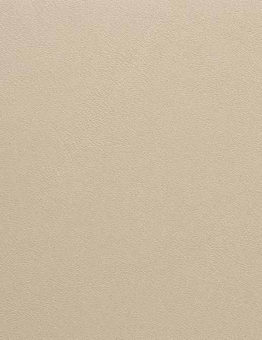 Ткань Holly Hunt Holly Hunt Leather 9250/02