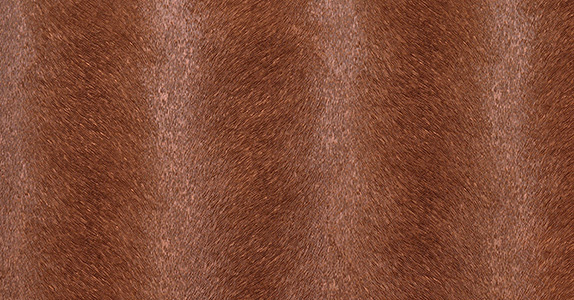 Обои Innovations Collection Caballo CAB-104 MORGAN