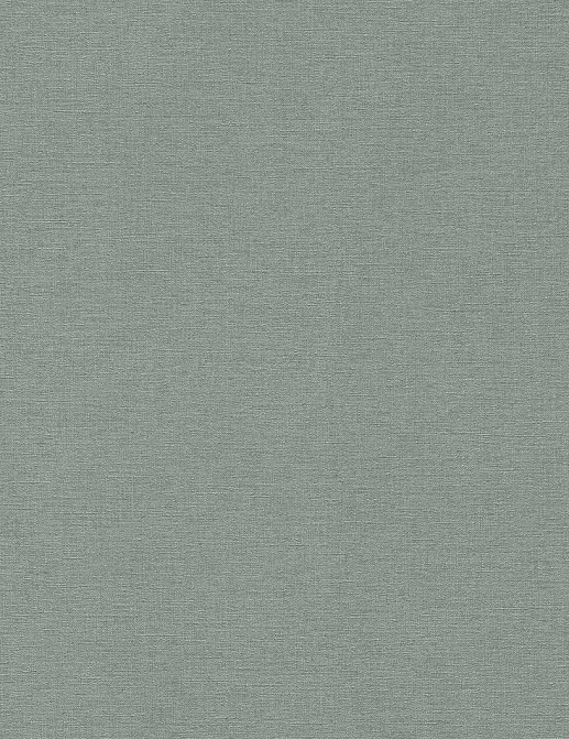 Обои Rasch Denzo II 449846