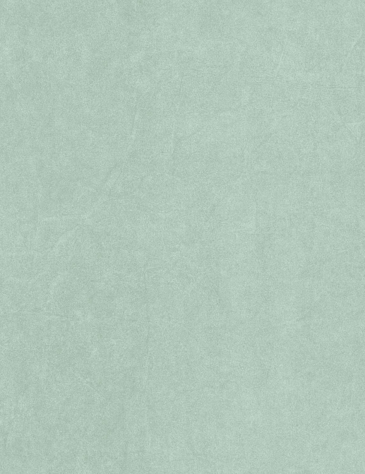 Обои Casadeco Cotton Touch COTO82387254