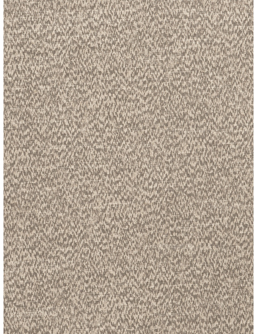 Ткань Fabricut Vignettes Vol.XIV Pewter Pansophy/Smoke
