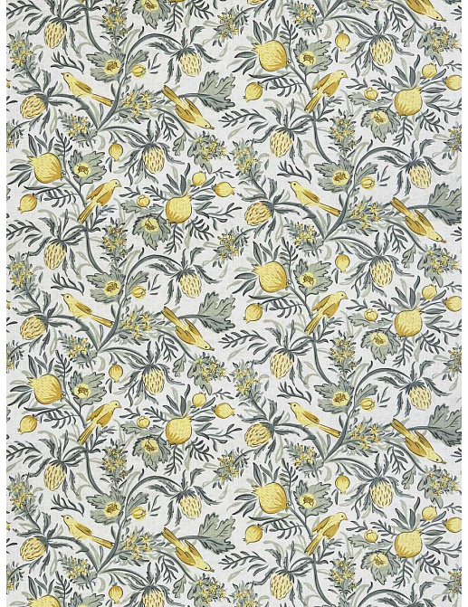 Ткань Fabricut French General Vignettes Jardin Privette/Soleil