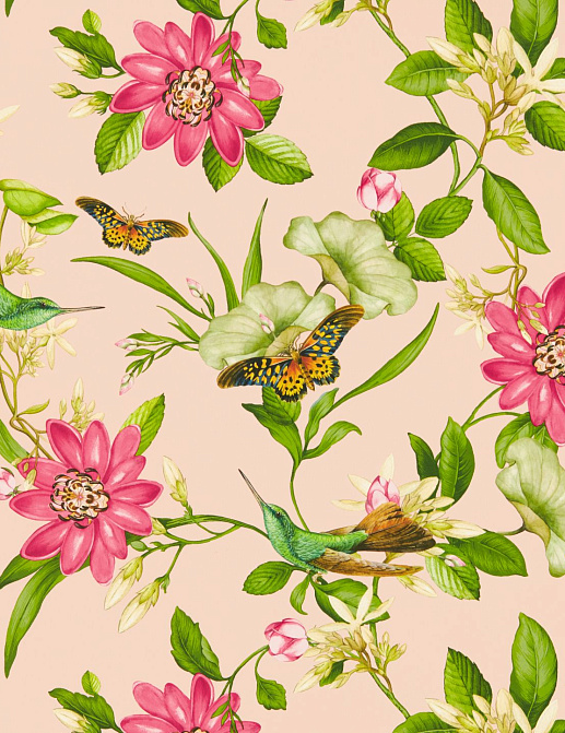 Обои Clarke & Clarke Botanical Wonders W0132/01