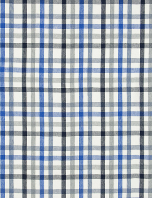 Ткань Designers Guild Brera quadretto F1888/05