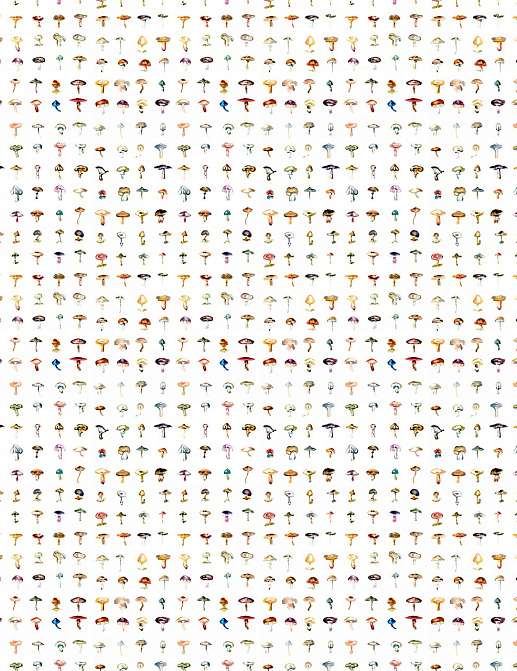 Обои 17 Patterns Collection vol.1 A03-FG-SM01W