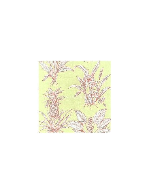 Обои Thibaut Toile Resource II T9803