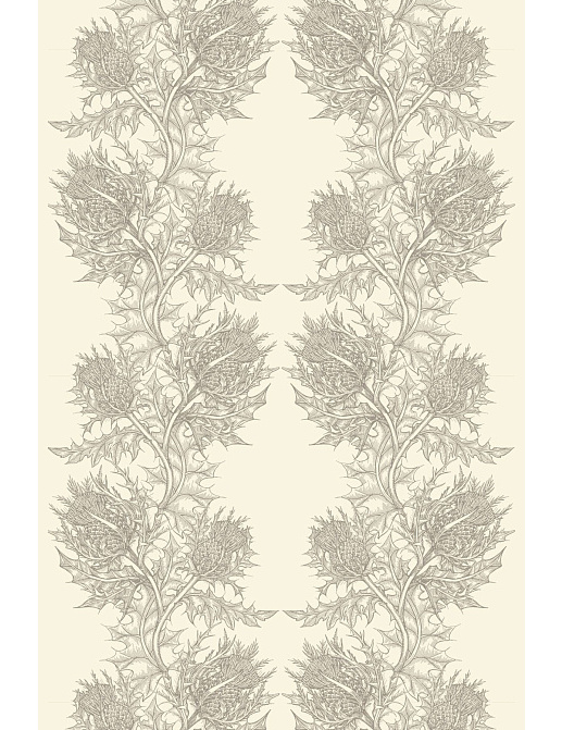 Обои Timorous Beasties Stock SWP/THL/IVY/03