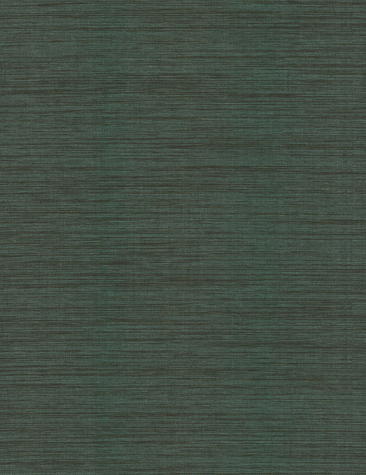 Обои York Ronald Redding Grasscloth & Natural Resource GV0222