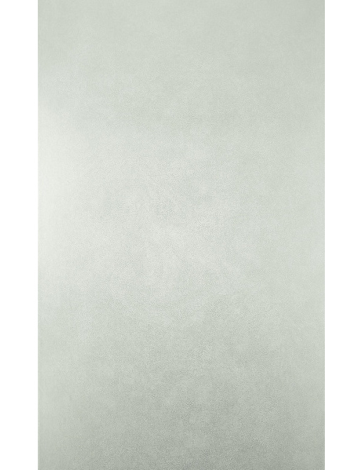 Обои Osborne & Little Wallpaper Album VII W6303-01
