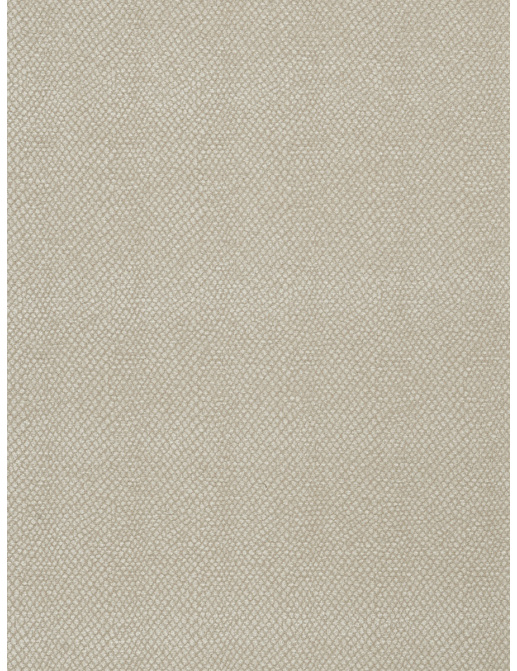Ткань Fabricut Color Studio Vol.VII Oyster Sesame/Canvas