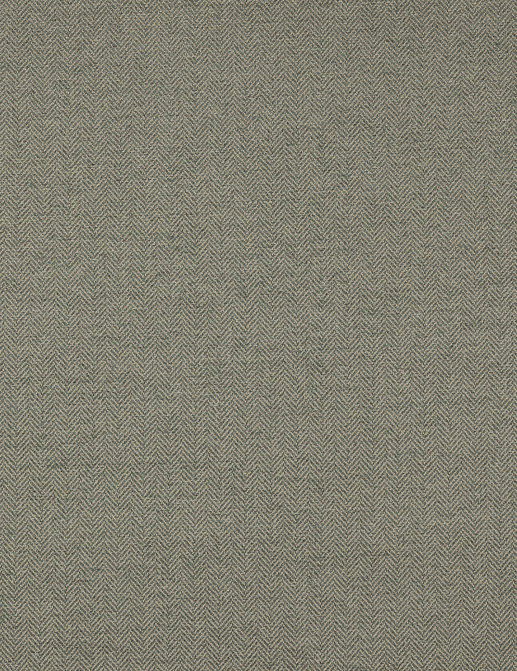 Ткань Colefax and Fowler Magnus Checks F4240/10