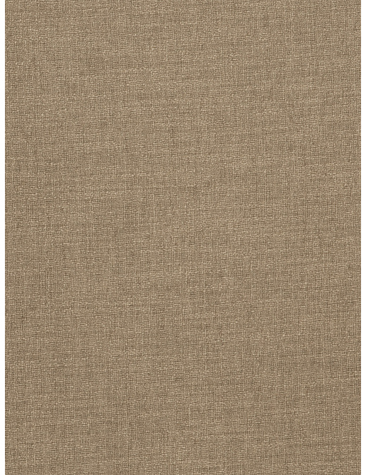 Ткань Fabricut Vignettes Vol.XIV Birch Clear thinking/Taupe
