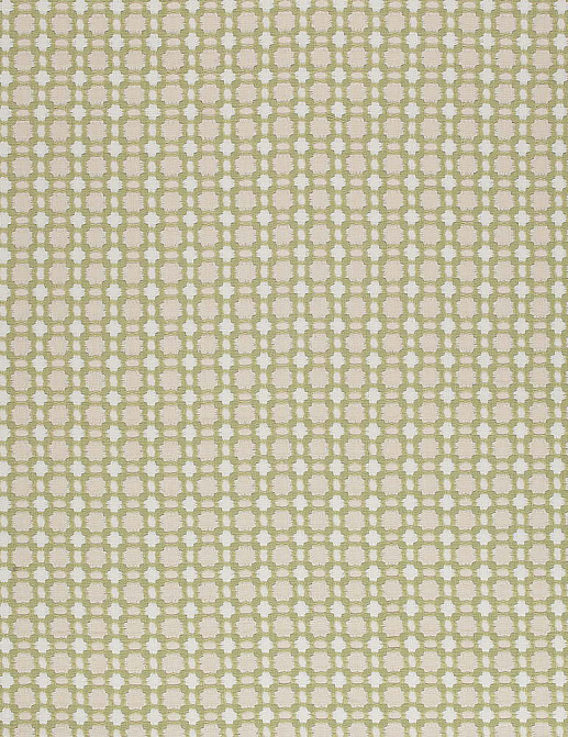 Ткань Thibaut Woven Resource vol.7 Companions W79620