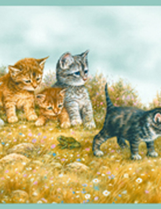 Бордюр York Kids vol 4 YK0131BD