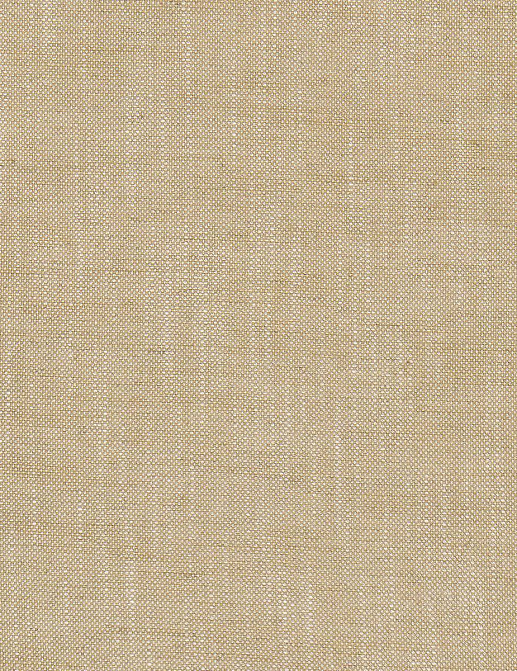 Ткань GP & J Baker House Plain & Stripe BF11006/778