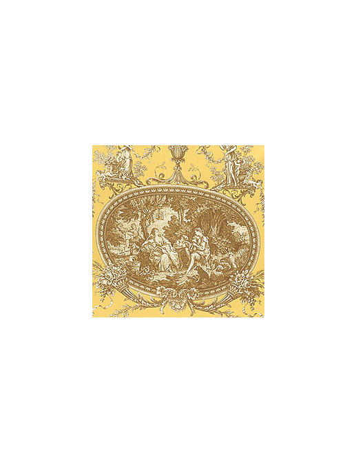 Ткань Thibaut Toile Resource II F99716