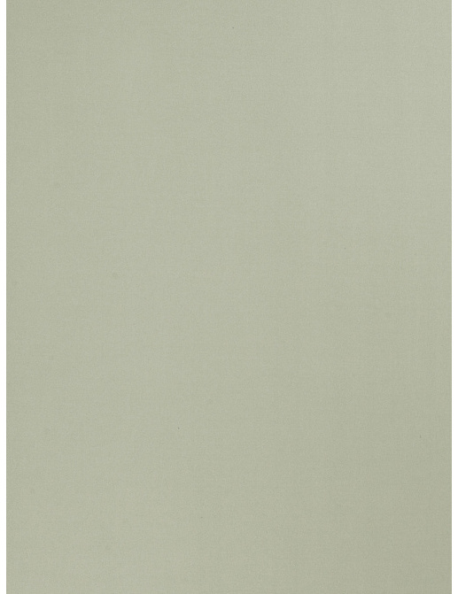 Ткань Trend Multipurpose Sleek Satin Vol.II 02022/Opal