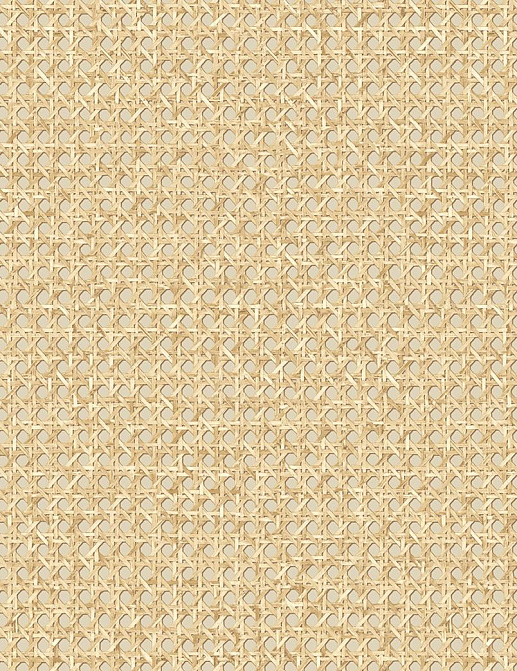 Обои Seabrook Japandi Style JP11205