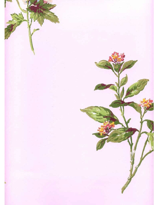 Обои York Ashford House - Flowers S.E. WU0718