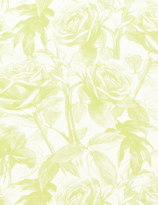 Ткань Clarke & Clarke Floribunda F0474/03
