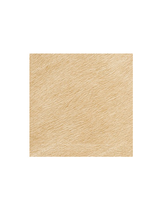 Обои Elitis Memoires VP62529