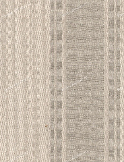 Обои Hohenberger Charleston 62066
