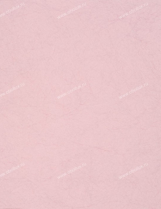 Обои Designers Guild Tsuga P502/43
