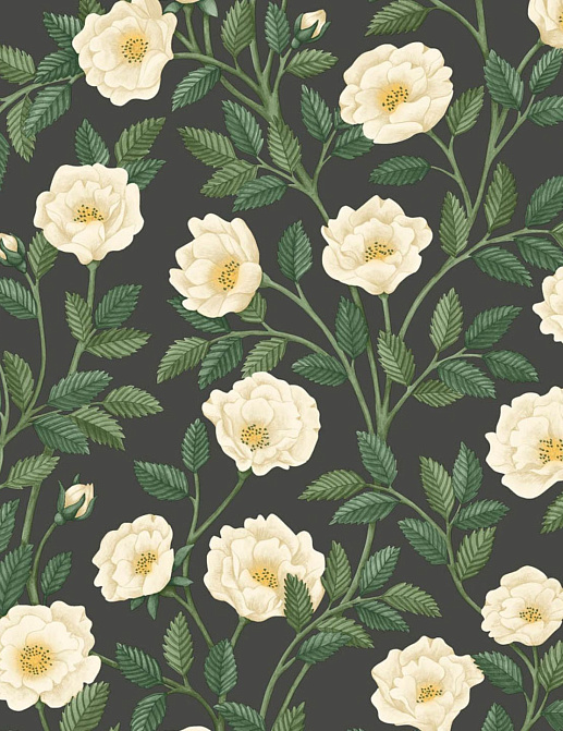 Обои Cole & Son Historic Royal Palaces - Great Masters 118/7016