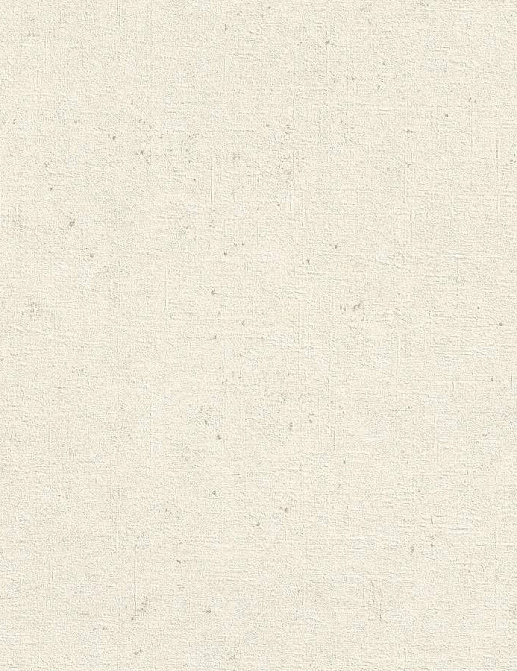 Обои Rasch Concrete 520828