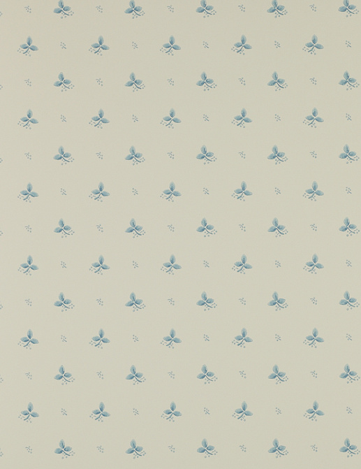 Обои Colefax and Fowler Small Designs 07406-05