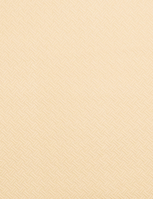 Ткань Trend Jaclyn Smith Home red spice 01840 Natural