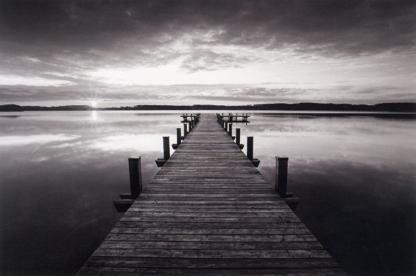 Панно и фотообои Rebel Walls No 1 Panorama R10162