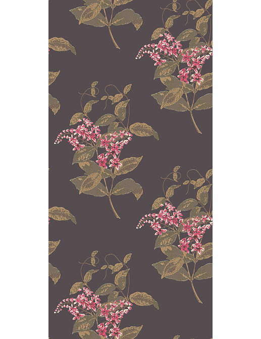 Обои Cole & Son Collection of Flowers 81/6024