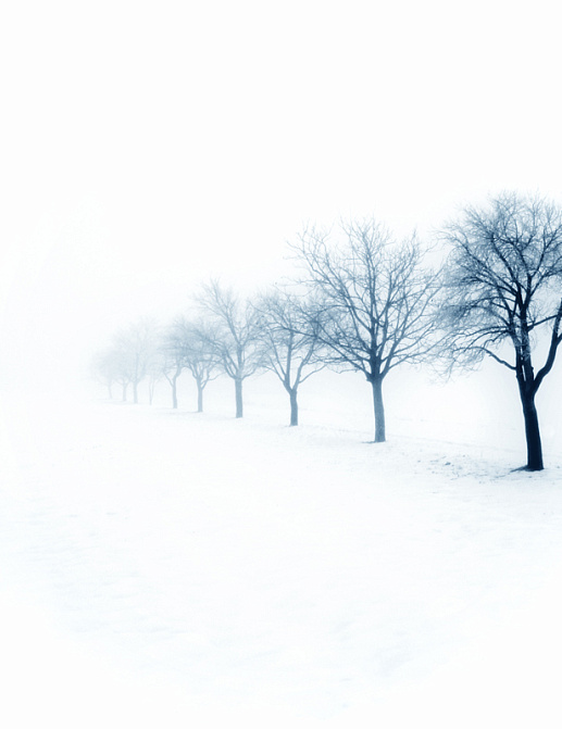 Панно и фотообои Affresco Фрески и фотообои ID12121