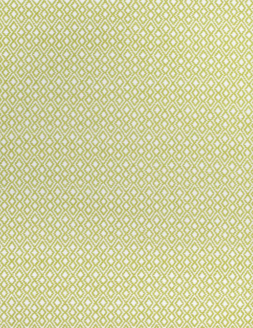 Ткань Thibaut Woven Resource vol.7 Companions W79641