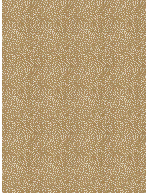 Ткань Stroheim Dana Gibson Prints II Little ditty/Camel