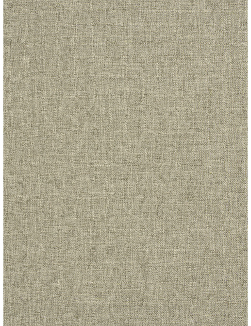 Ткань Trend Mammoth Twill 04466/Buff