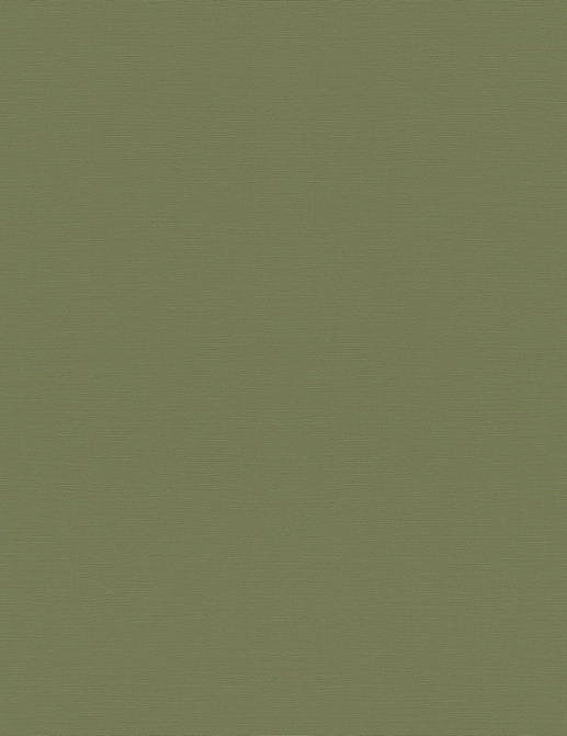 Обои Rasch Garden 687538