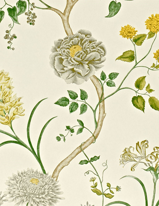 Обои Sanderson Wallpapers from a Painters Garden DAPGST104