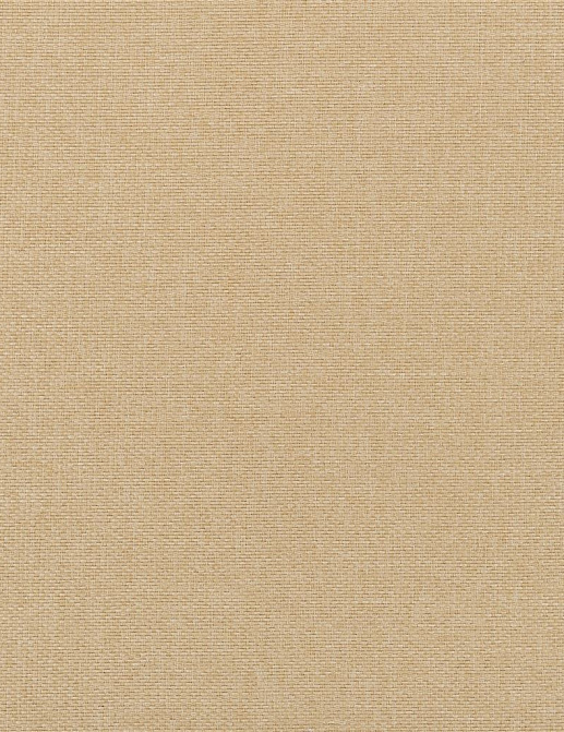 Ткань Designers Guild Contract essentials 2 FDG2768/17