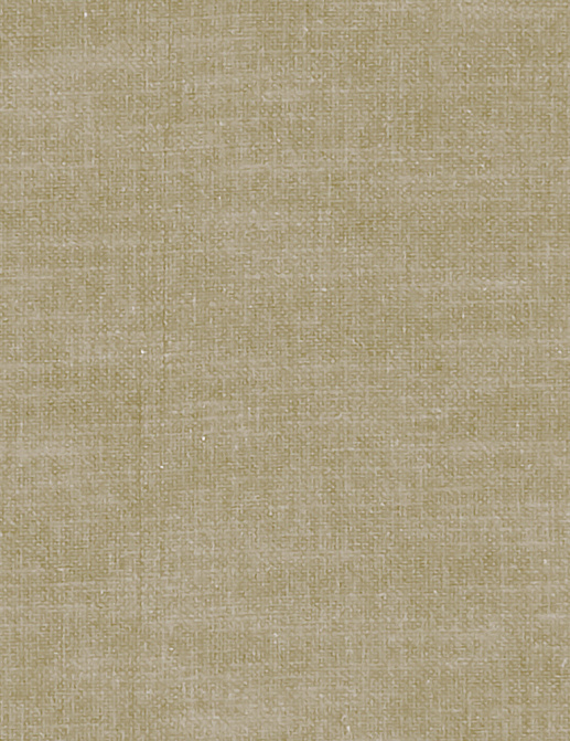 Ткань Clarke & Clarke Amalfi F1239/44