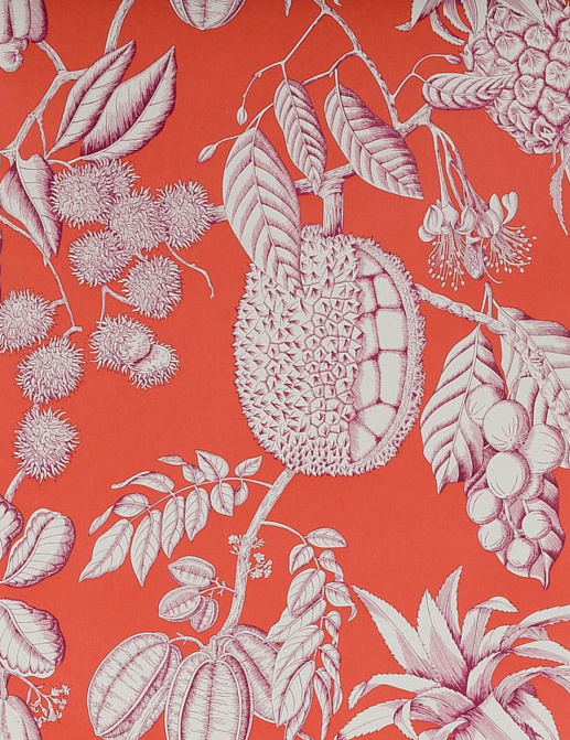 Обои Manuel Canovas Balangan 03106-02