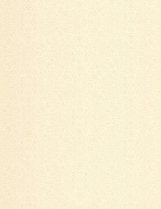 Обои Chelsea Decor Vision DL22810