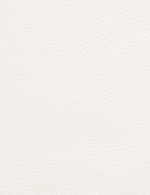 Ткань Holly Hunt Holly Hunt Leather 9401/25